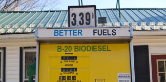 Biodiesel pump