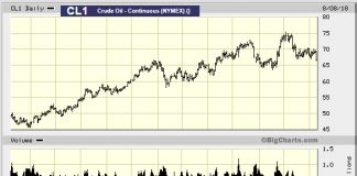 oil price spurs biofuels