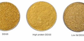 fractionation of corn